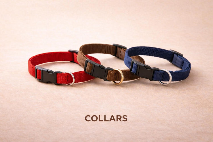 Dog Collars