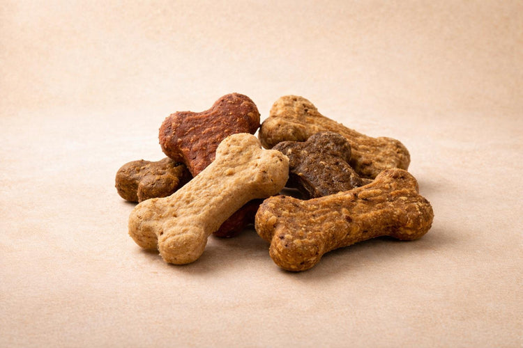 Cat Treats