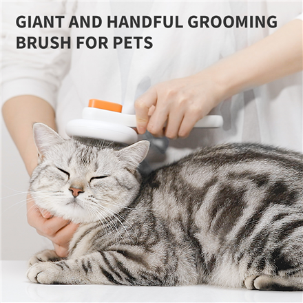 PETKIT Lielā Kopšanas Birste – Balta